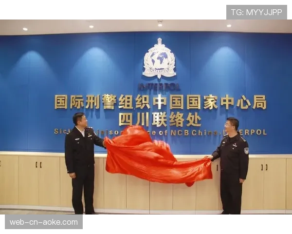 网络赌博平台违规开设BMX赛事投注，遭国际刑警组织多国联合查处。